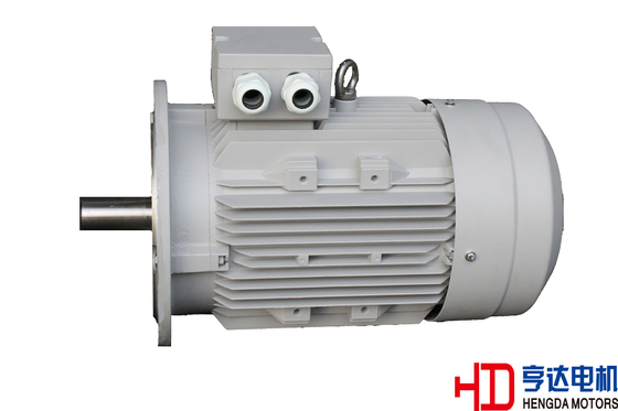 Electric Motors 50hz , Three Phase Induction Motor H100 Aluminum Frame