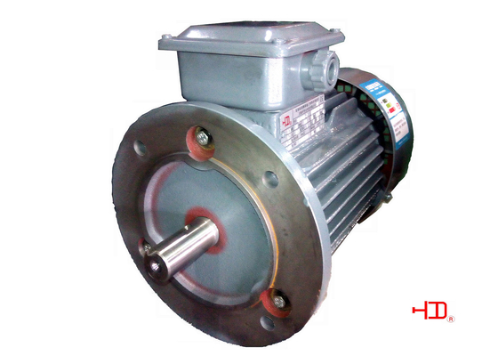 IE2 18.5 KW 25 HP Inverter Duty Motor 6 Pole 1000 rpm High Torque Electric Motor