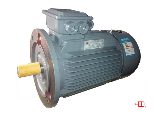 IE2 18.5 KW 25 HP Inverter Duty Motor 6 Pole 1000 rpm High Torque Electric Motor