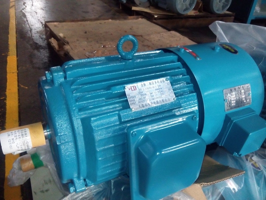 Moteur asynchrone triphasé de couple élevé 380V 50HZ avec le cadre de la fonte H100