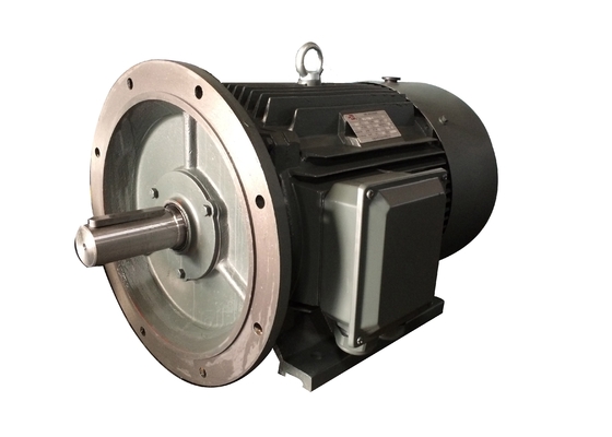 Moteur électrique de basse tension de Polonais de la grande vitesse 6 triphasé avec le CEI IE3 standard
