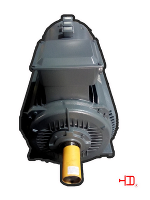 Moteur industriel de devoir d'inverseur de 45KW 160KW électrique pour le CEI/gigaoctet de pompe à eau